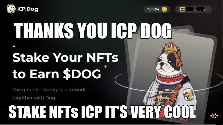 ICPstarter's tweet photo. THANK YOU @icpdog IT'S VERY COOL
#ICP #Dfinity #NFT https://t.co/7D5QHreEWf