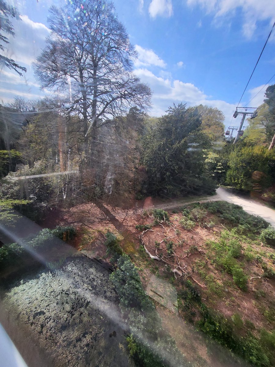 James Maxfield tweet media