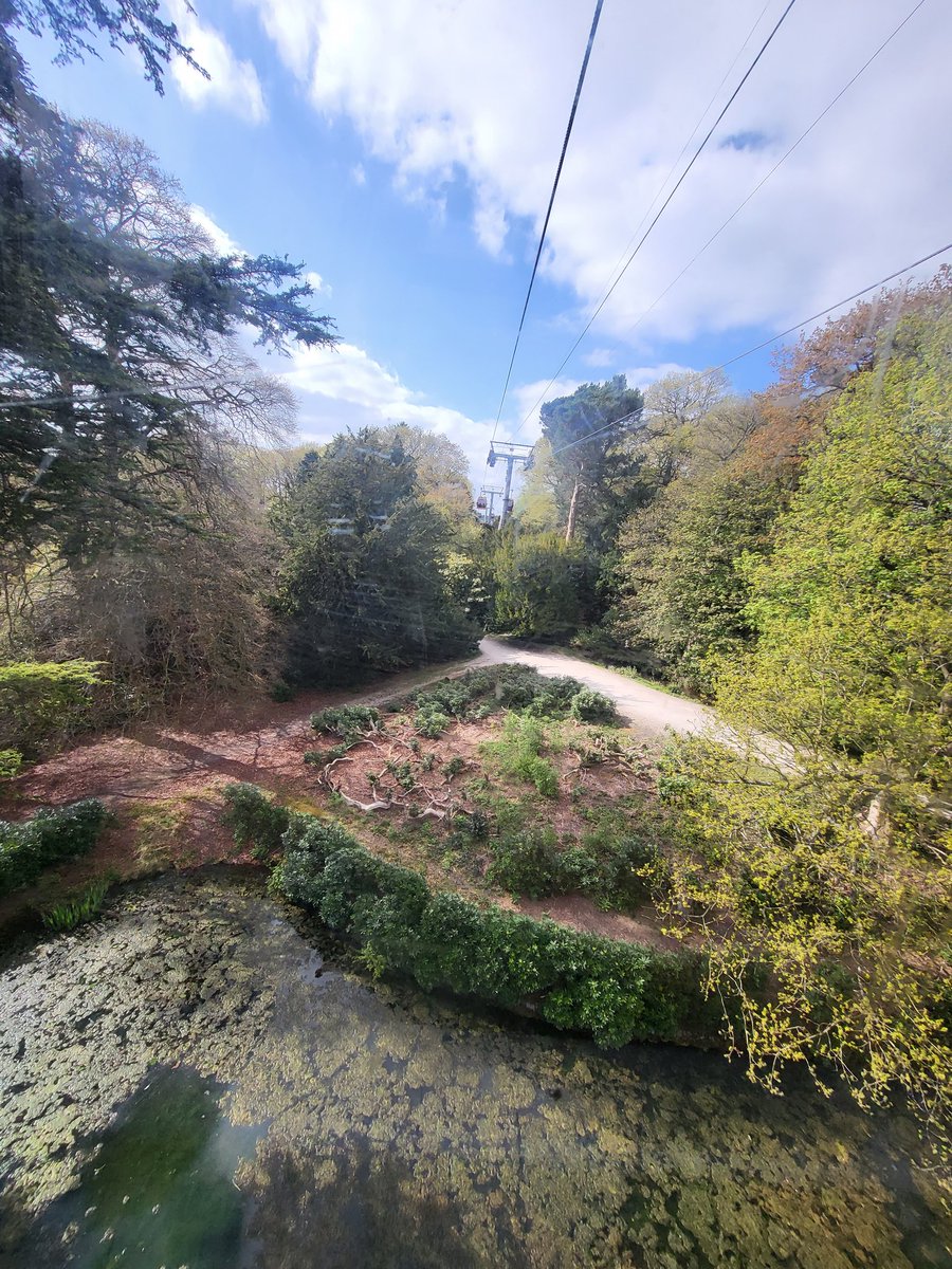 James Maxfield tweet media