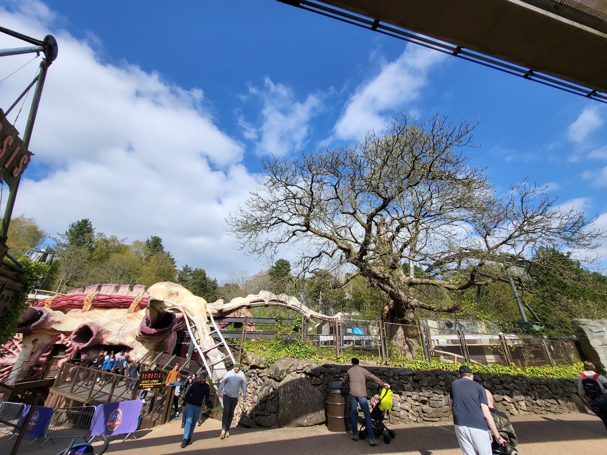 James Maxfield tweet media