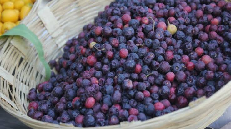 waqarzohaib's tweet photo. After 10 year #Phalsa AlhamduLillah, https://t.co/BsSW6C3r7D