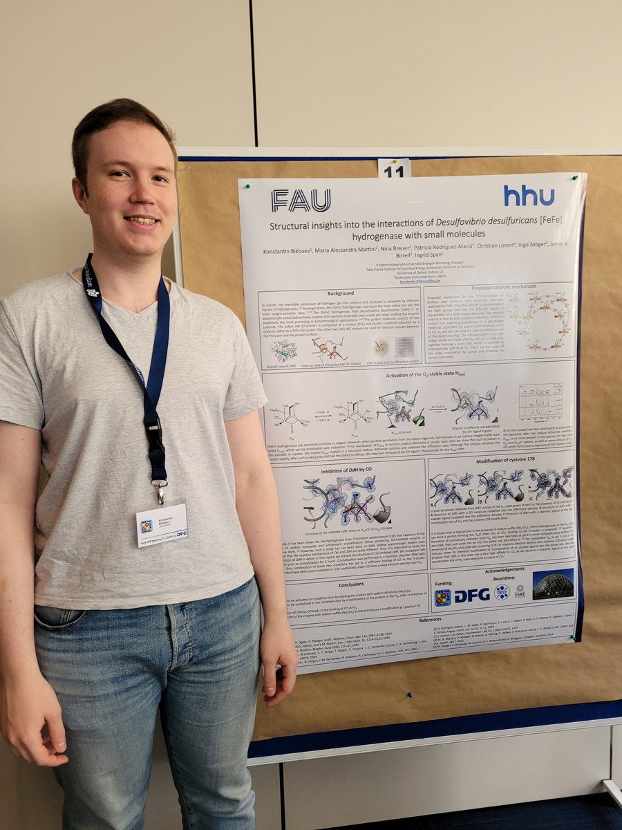 Great meeting in Potsdam! SPP iron-sulfur for life. I enjoyed the talks, the posters, and the beer with collaborators! @KonstantinBikb2 @MariaAleMartini @JamesBirrell86 @stripp_lab @UniFAU