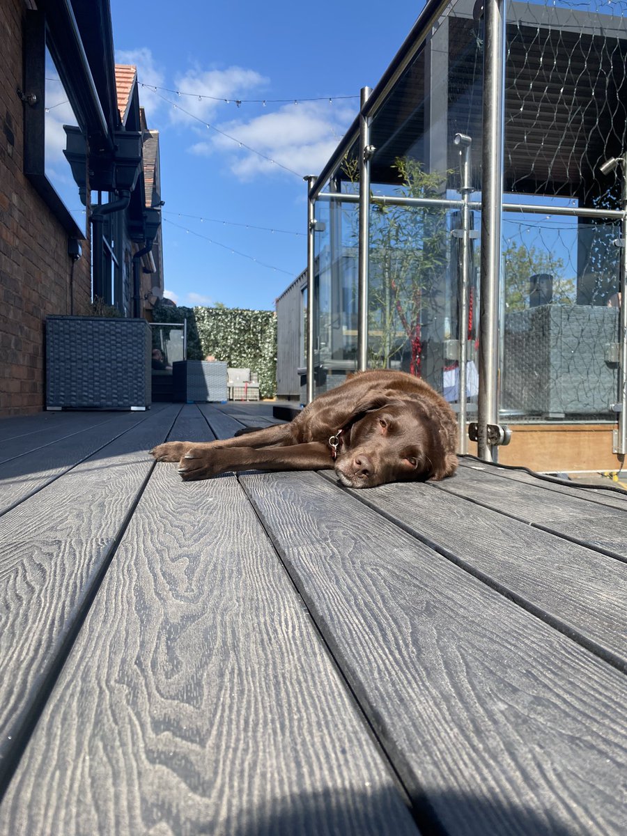 Visit us and you too could be as relaxed as the most relaxed dog in Sherwood right now … #hotdog #sherwood #outdoorterrace #fridays #independents #bar #realale