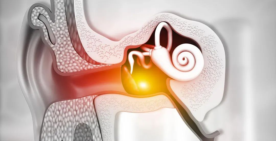 Did you know that middle-ear #barotraumas (MEBT) are the most common #dive injury?

For more information on how and why this happens, check out the link here: dan.org/safety-prevent…