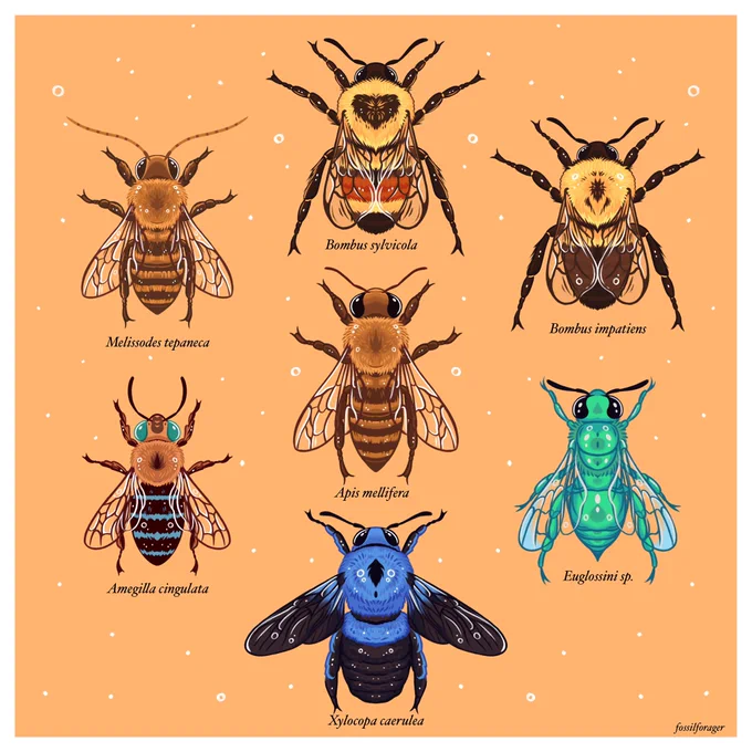 Happy #InverteFest!! 😘🪲✨ 