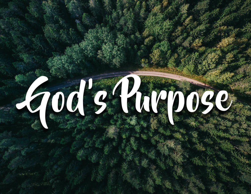 alfredlongsr's tweet photo. One of the greatest blessings in life is the ability to align our daily activities with God’s divine purpose! Everything else is basically a waste of time.

(Psalms 57:2 NLT)
“I cry out to God Most High,
to God who will fulfill his purpose for me”. https://t.co/qsENTkgrvB