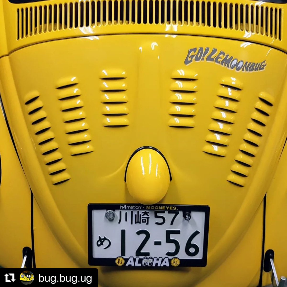 atelier_ginger's tweet photo. #callook #callookvw 
#aircooledvw #mooneyes #ムーンアイズ #lettering #pinstriping #ピンストライプ #lemoonbug https://t.co/zY7c8YWmfL