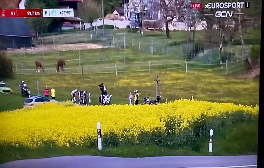 FredvanderKloor's tweet photo. #TourDeRomandie yellow #rapefields #cycling @JumboVismaRoad @TourDeRomandie https://t.co/AcVoJrus60