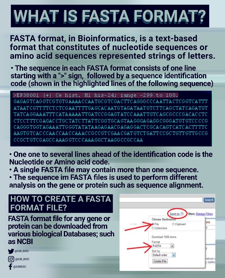 What is FASTA format, where is it used and how is it downloaded?
-
-
-
-
#IUBBISC #departmentofbioinformatics #bioinformatics #bioinformaticsstudyclub #theislamiauniversityofbahawalpur #theiub #ncbi #hgp #genetherapy #dnasequencing #genbank #pcr #blast #fasta #moleculardocking