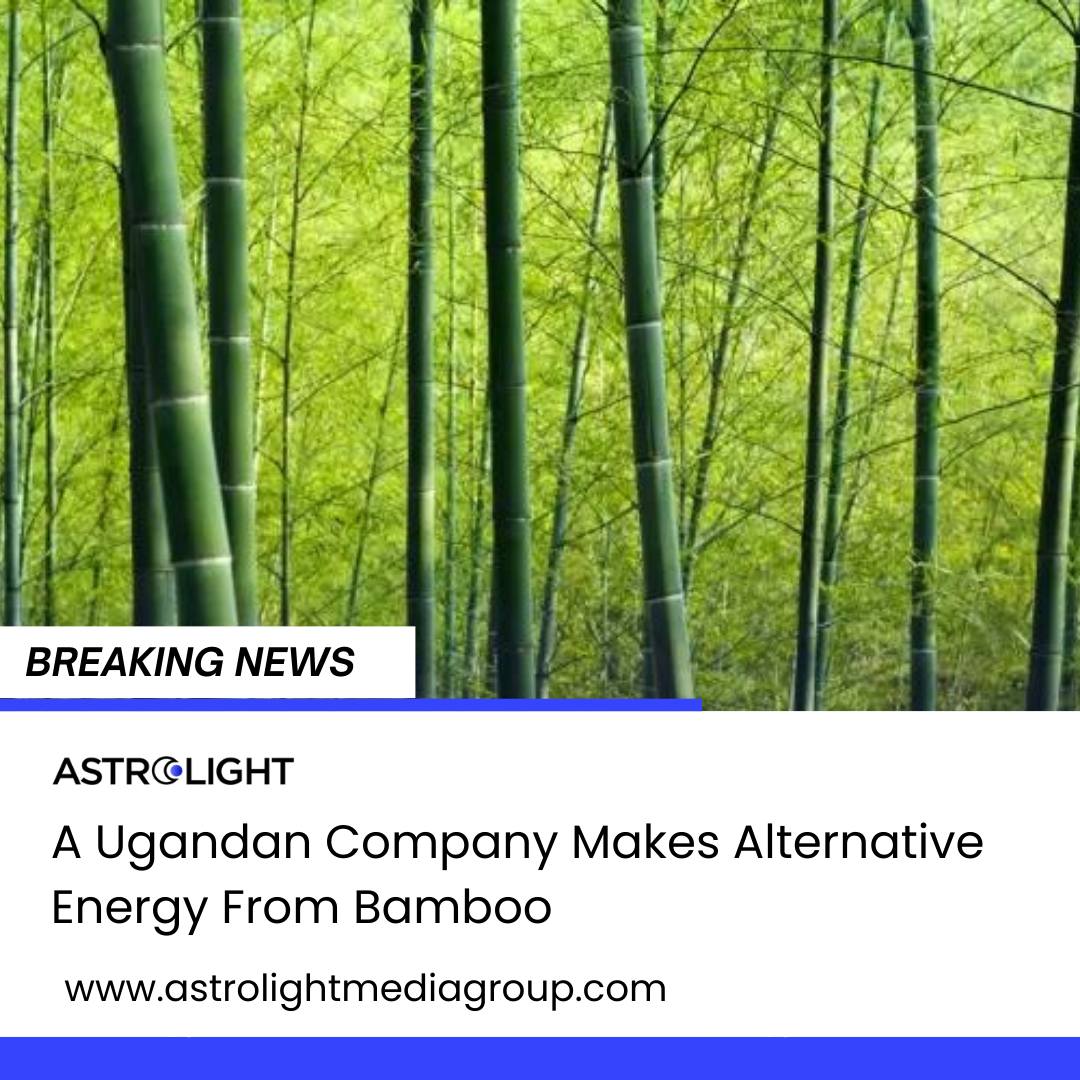 AstrolightMedia's tweet photo. 👉🏻Long has it been since the first whispers of global warming circulated amongst citizens and governments alike.
.
Visit our website to learn more 🌐
https://t.co/tOaFRWadZJ
.
.
#amg #digitalfrontier #astrolight #digitalmedia #energy #energygeneration #generation #bamboo https://t.co/3icLVSDmUi