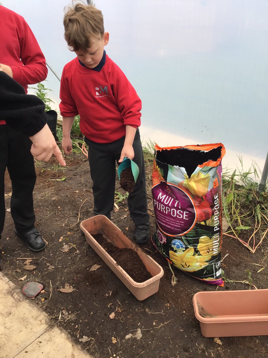 Redmarshschool's tweet photo. Primary Blue class have enjoyed taking part in activities at our Poly Tunnel, they are learning how to grow and care for fruit and vegetable plants. #outdoorlearningisfun https://t.co/o338lOWFCS