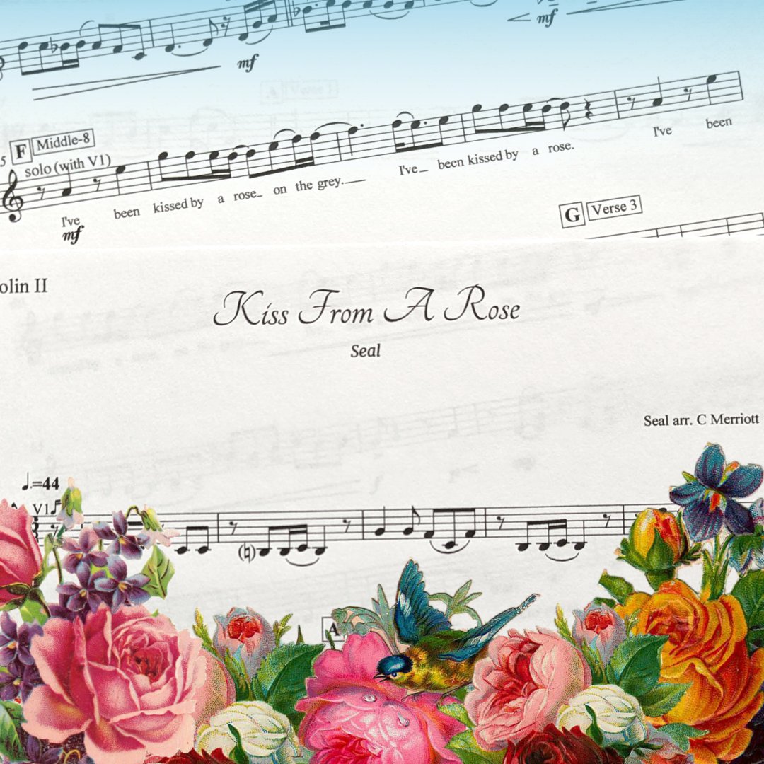 IndiaRoseString's tweet image. One of my all-time favourites &amp;amp; an absolute classic! 
Kiss From a Rose - Seal 🌹
This piece sets the perfect atmosphere while your guests are being seated. Romantic, flirtatious &amp;amp; full of tingly excitement!
#modernstringquartet #weddingstringquartet #yorkshirestringquartet #seal
