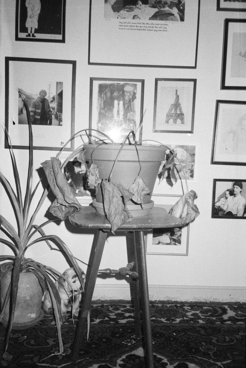 Martin B Nagy (@martinbnagy) on Twitter photo 