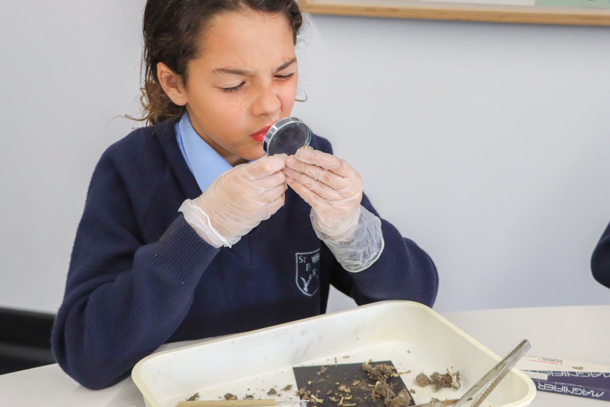 EtonPartnership's tweet photo. We had a brilliant afternoon with @sterfwindsor yesterday, learning all about chemical reactions, changing densities and what owls eat for dinner!
Thank you to our #chemisty, #physics and #biology teachers and technicians π¬π§ͺπ§²
#primaryschoolscience https://t.co/FKMOzq0Se3