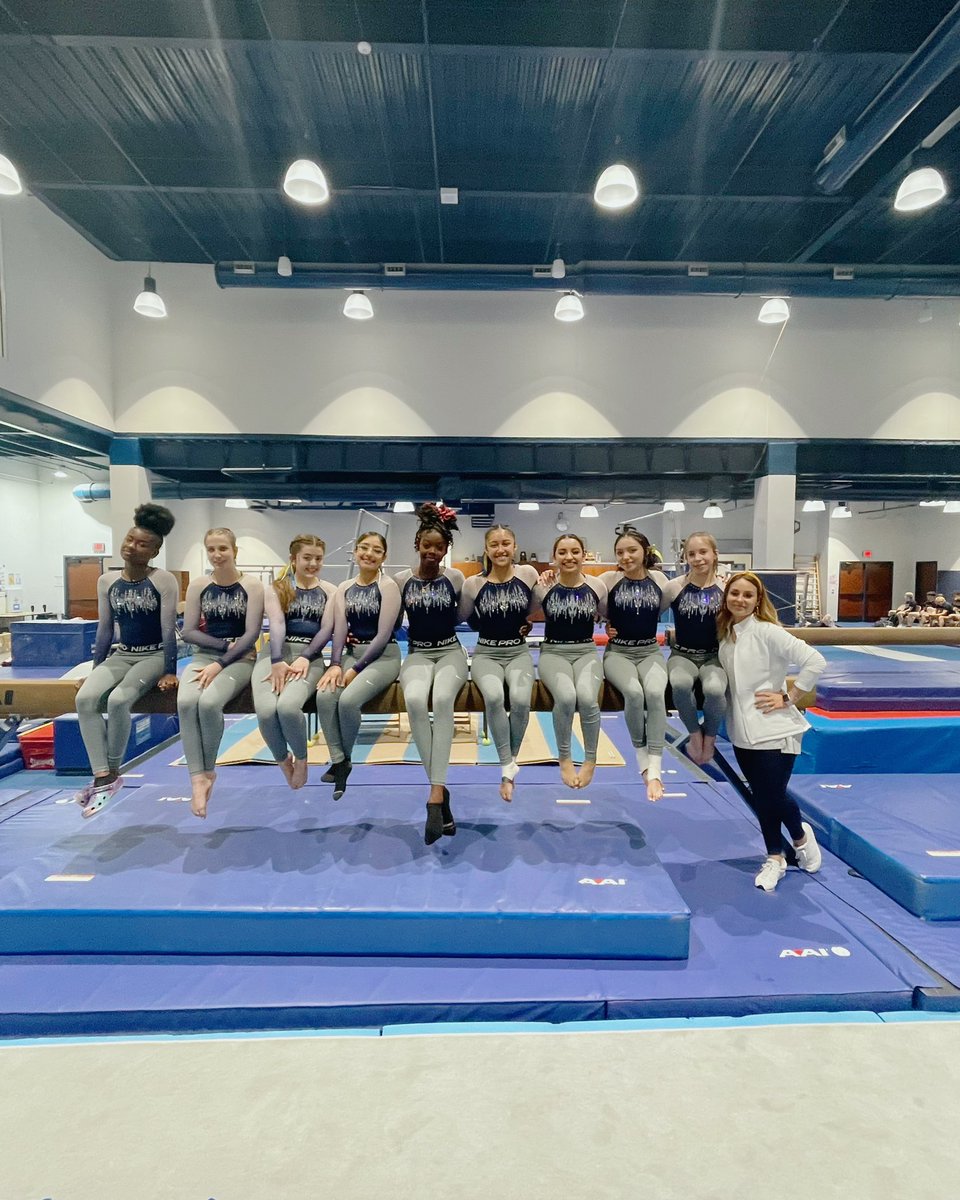 Lakeview Gymnastics tweet media