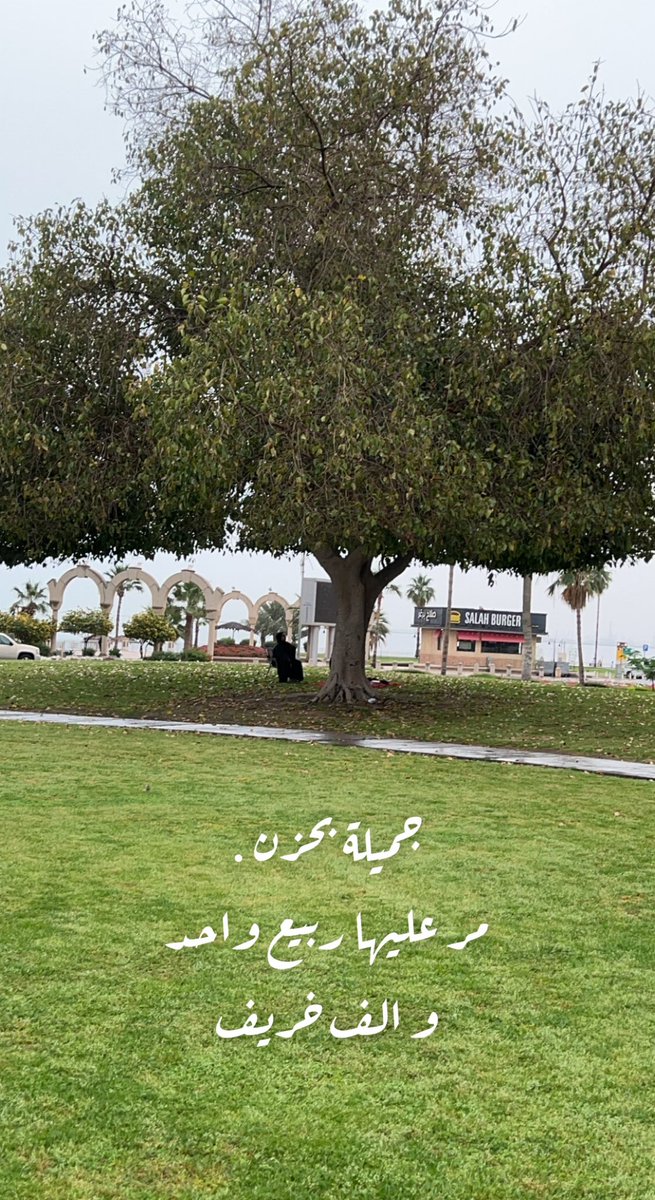 FawzyahALtwalah's tweet photo. جميلة بحزن
مر عليها ربيع واحد
والف خريف 🍂🍂

 #تصويري #الجبيل_الصناعية #الجبيل #المنطقة_الشرقية https://t.co/GuiHDUuZcw