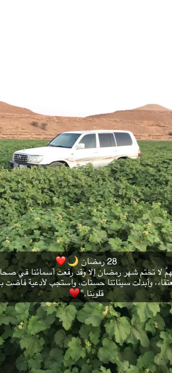 alqbabnh's tweet photo. قبل الإفطار
؛ https://t.co/6kDvAm61Pi