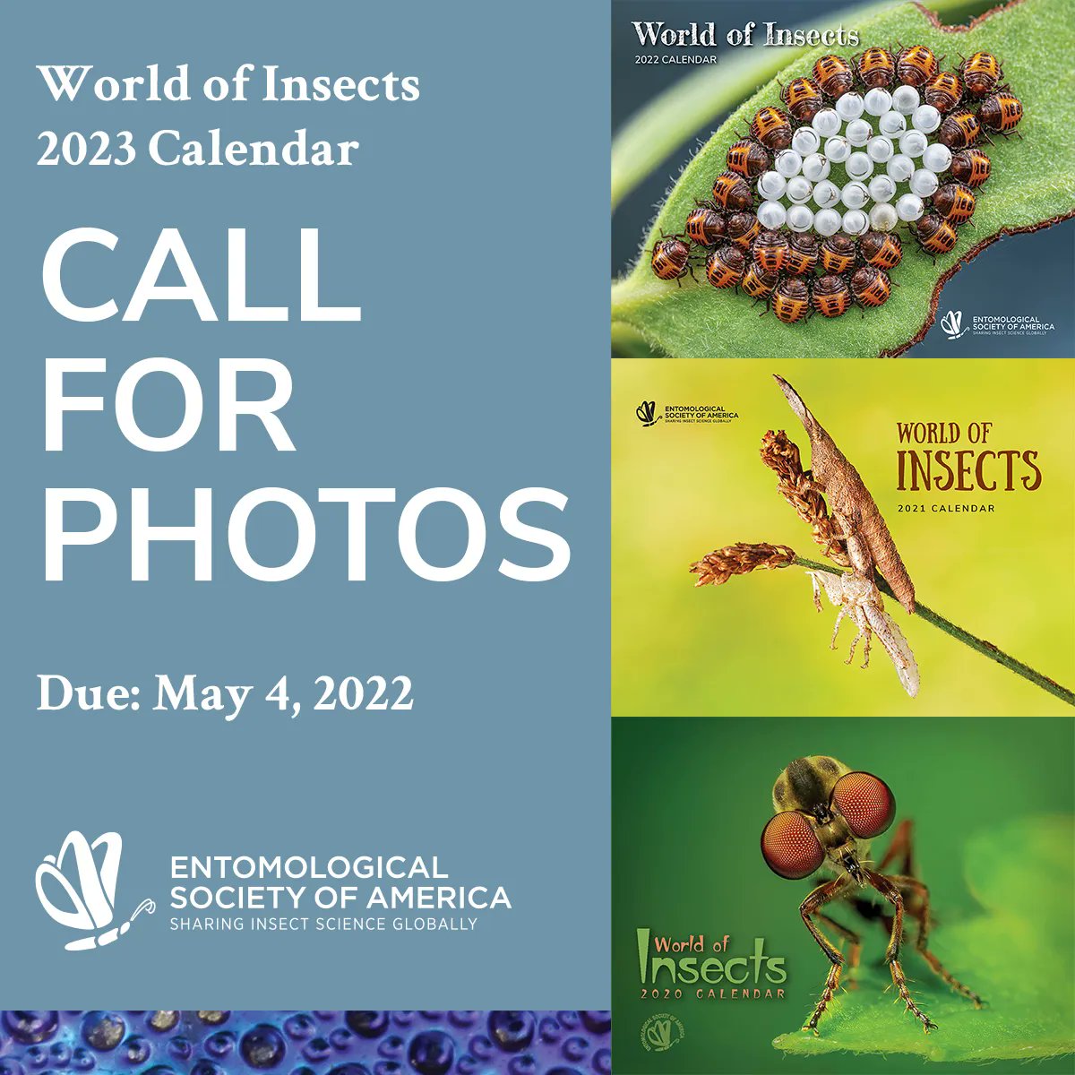 ENTRIES DUE WEDNESDAY! The call for photos for the 2023 ESA World of Insects Calendar closes May 4. Learn more and enter your finest insect photos now: entsoc.org/publications/w…