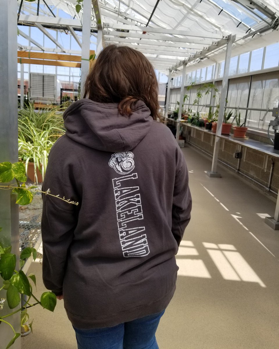 LCCBookstore's tweet photo. Let everyone see your Lakeland pride whether you’re coming or going with our Back Imprint Hoodies! Also available as longsleeve T-shirts

#lccbookstore #college #collegebookstore #collegelife #hoodie #bookstore https://t.co/hCz3nqMSmC