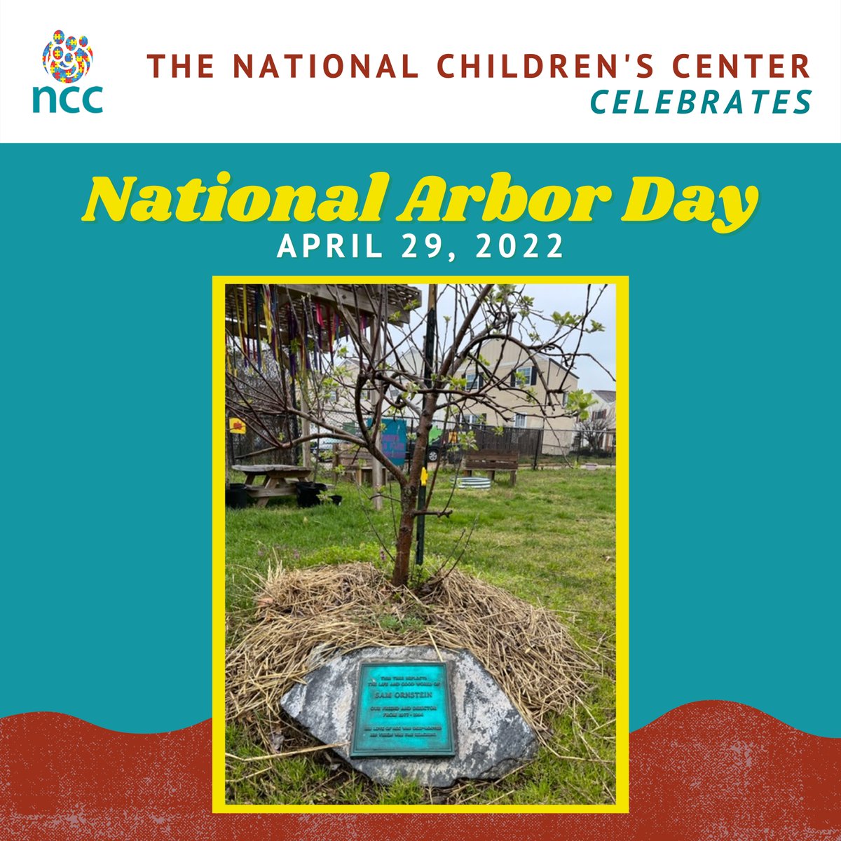 ncc_inc's tweet photo. For #ArborDay, we want to highlight this tree in our Baby Bloomers Urban Garden. It honors Sam Ornstein, Director of NCC from 1977 to 1994. His love for #NCC was deep-rooted and his vision far reaching. What a better way to honor his work than a tree that will grow alongside NCC. https://t.co/3GDm5790JK