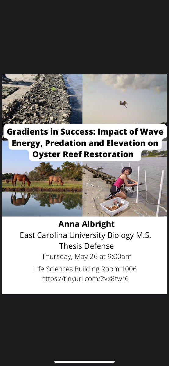 Well no changing it now! For anyone interested, I will be giving my M.S. thesis defense “Gradients in success: Impact of Wave Energy, Predation and Elevation on Oyster Reef Restoration” on May 26 at 9am. It will be hybrid format so anyone is welcome to join!