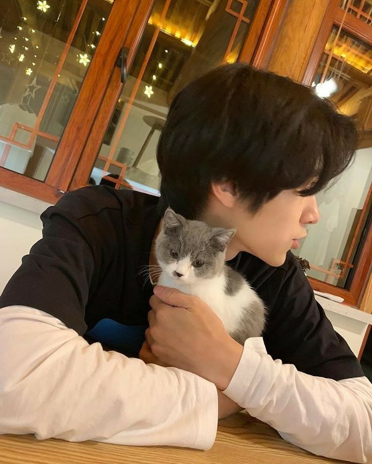 pacarnyaakamuu's tweet photo. Sayang kucing dulu baru sayang kamu..yaa kan der? https://t.co/SUKldPFuRl