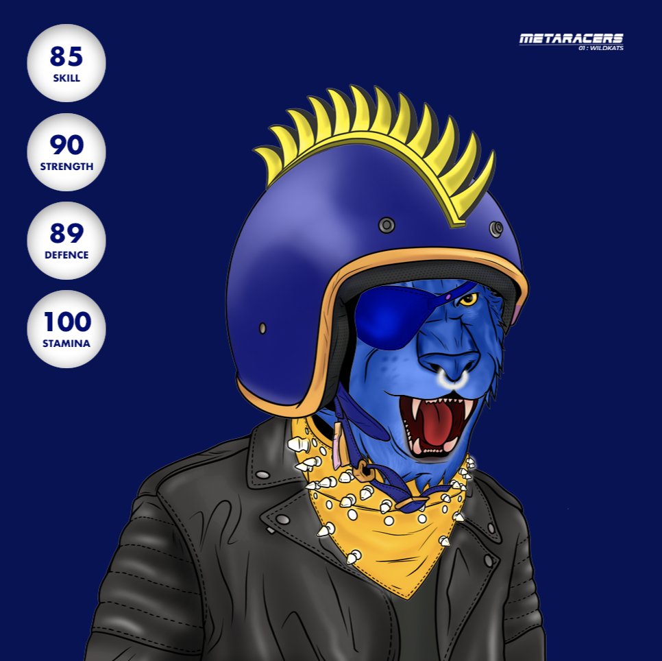 MetaRacers | 🌖 #WildKats #LUNA $UST tweet media