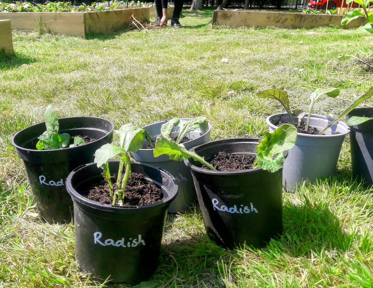 FletchHort's tweet photo. And a great session with parents this afternoon too 😁🌱💚 https://t.co/un6K2n4jr3