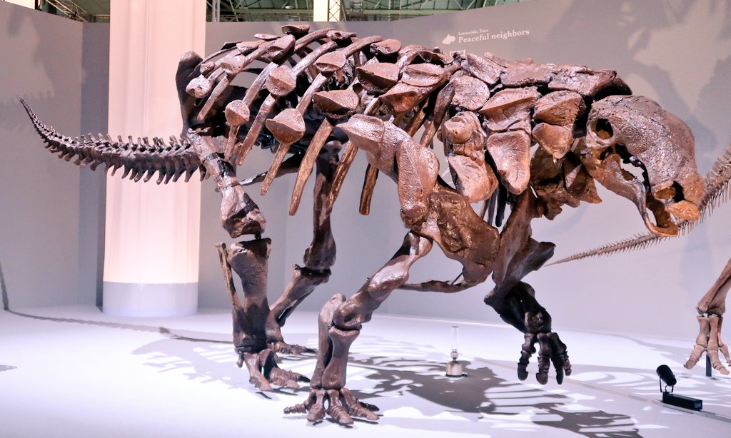 𝔽𝕦𝕞𝕚𝕗𝕦𝕞𝕚( ︎´ ︎` ︎) on Twitter