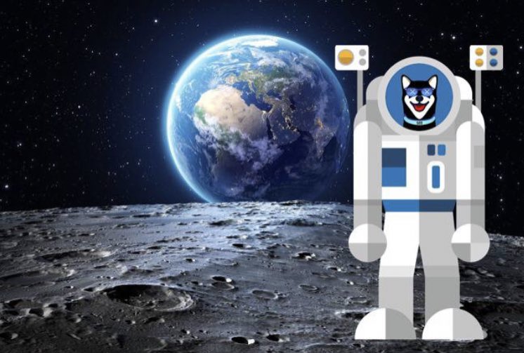 DipikaFred's tweet photo. @cryptojack We need to keep growing the movement #xrdoge https://t.co/W3AG0N2ekq