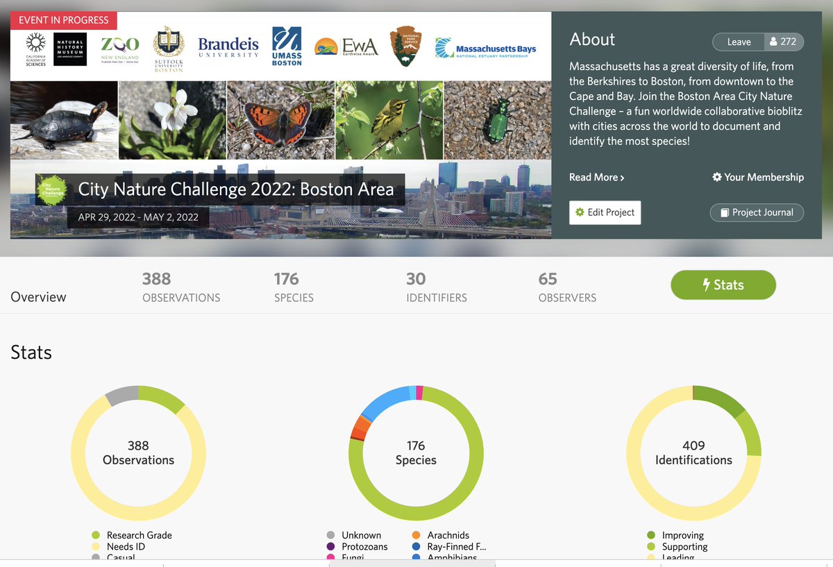 bostoncnc's tweet photo. It isn't even noon and already 65 observes and 30 identifiers have made contributions to the #BostonCNC! It is a beautiful day to get outside and observe with #iNaturalist #CityNatureChallenge 2022 - we are here! https://t.co/h73JClWf9Z