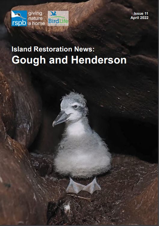 GOUGH NEWSLETTER out soon - sign up at goughisland.com to get it sent straight to your inbox.