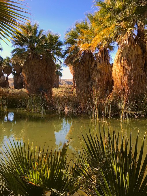 Which view do you like better? 🌴😉 https://t.co/OJpvsbLZeO