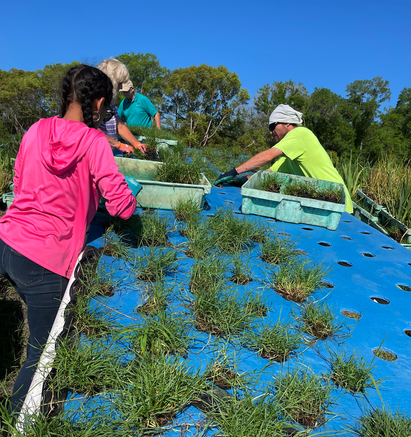 BeematsWetlands's tweet photo. This Beemat is being assembled w/ native #aquaticplants that will turn harmful nutrients from the waterway into plant growth – cleaning the #water in the process.

#Beemats #nitrogen #phosphorus #waterpollution #mitigation #environmentalscience #phytoremediation #bioremediation https://t.co/i3bR5rnc8Z