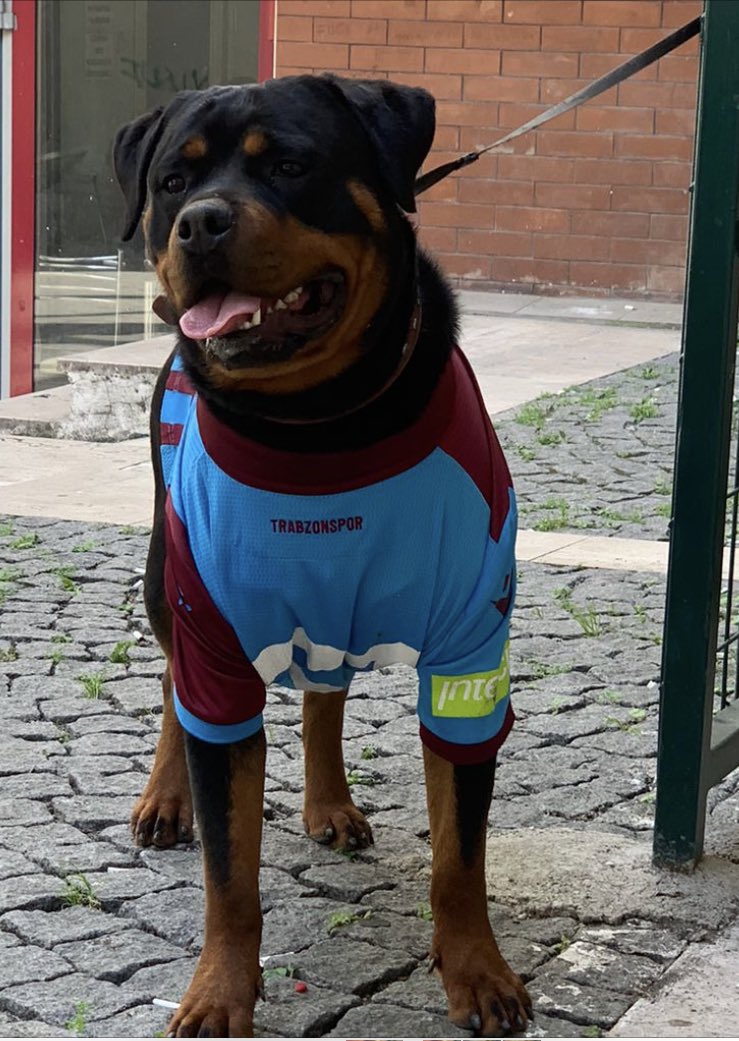 Bize her yer Trabzon ❤️