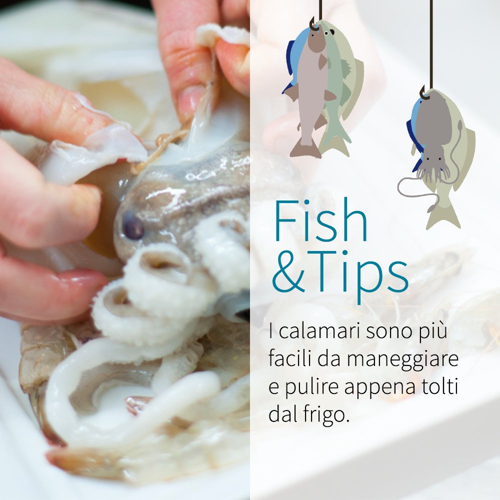 Finpesca's tweet photo. I calamari sono i molluschi più apprezzati per la loro versatilità di preparazione, nonché il sapore e la consistenza. Prima di cucinarli, è bene però procedere ad una pulizia accurata.
Separare i tentacoli dal corpo
Eliminare le interiora e il becco
Procedere con la spellatura https://t.co/6yrSCg43eH