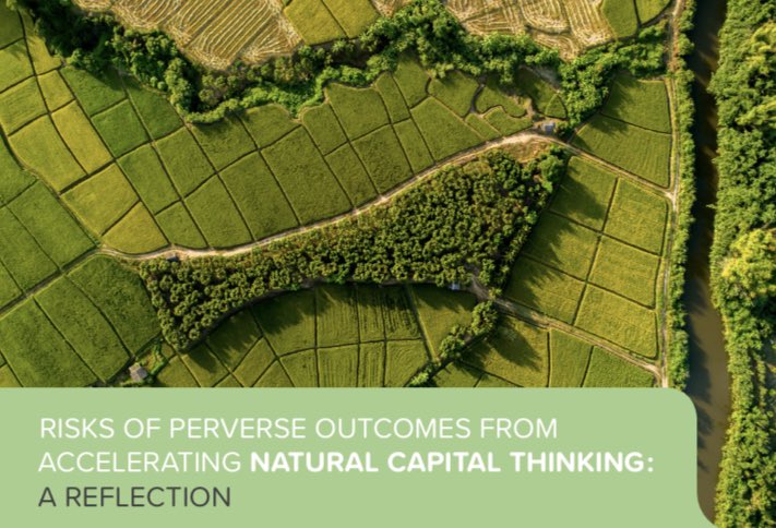 Prof. Thomas Cuckston tweet media