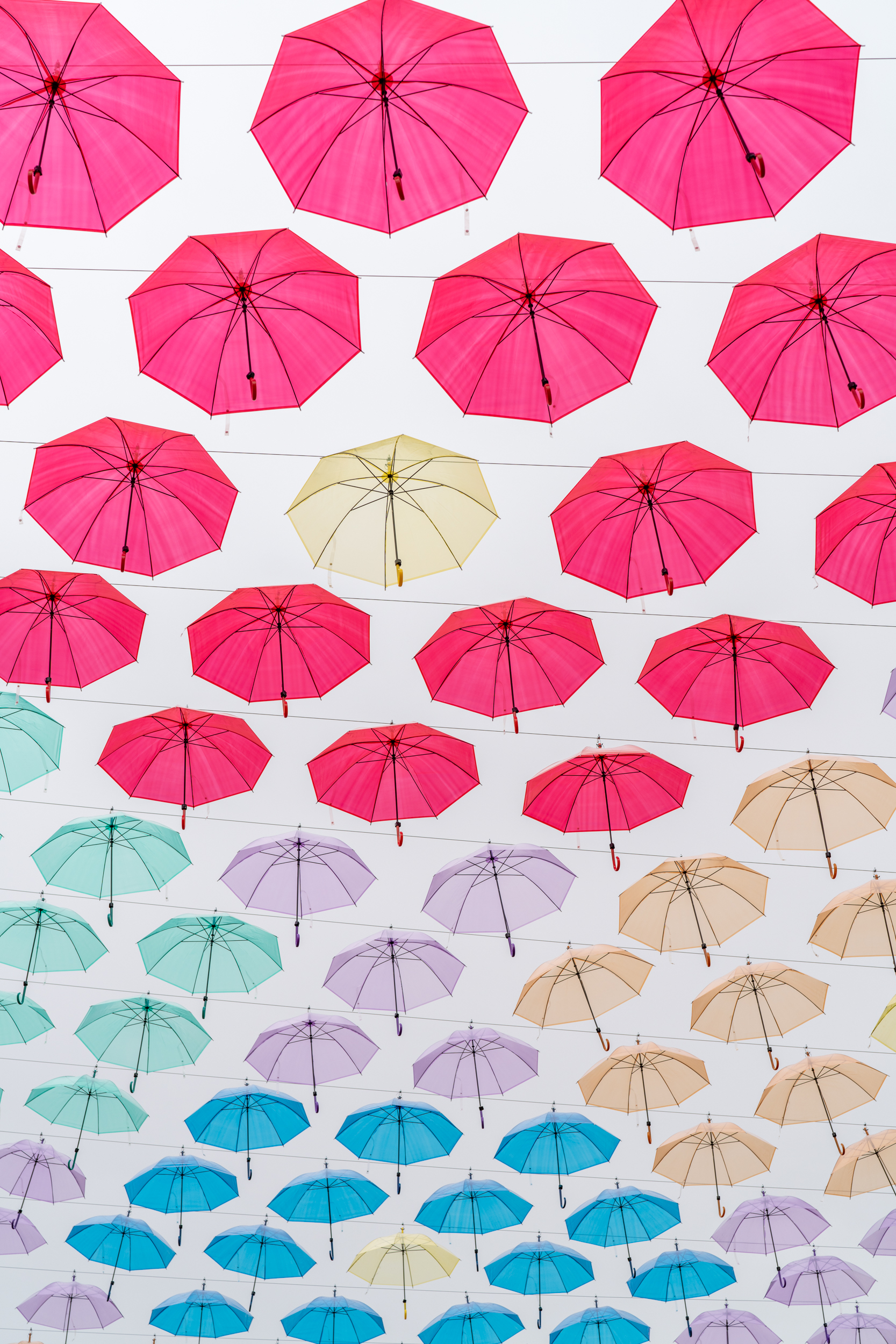 みなくる刈谷 Twitter Search Twitter