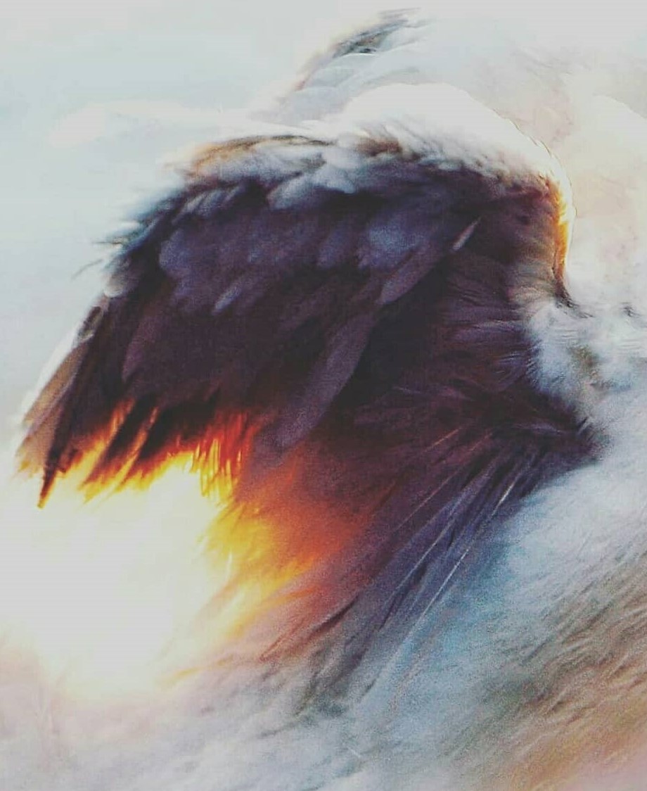 Cicov_'s tweet photo. @kianhossein Hi! I have photos in different styles, all are 0.1 to 1.5 xtz. 
Maybe you find something in my gallery that fits your taste :) https://t.co/1m8rT0IPIE