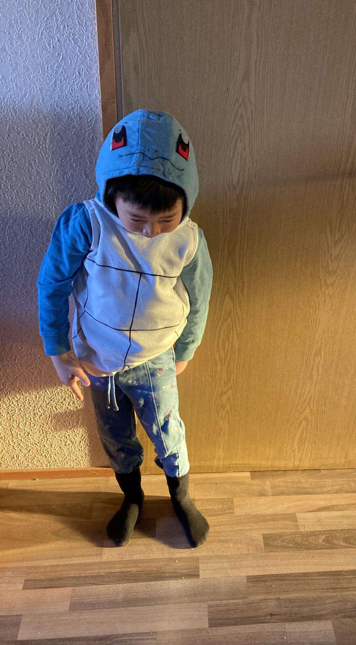 Sawako Hoshi 今週末vappu メーデー なので 保育園で仮装パーティー 長男は夜な夜な家にあるもので即興でなんとか作ったゼニガメ 次男はハロウィンの時に作ったピカチュウで ポケモン兄弟 自己流手作り衣装は もはや自己満で作ってる T Co