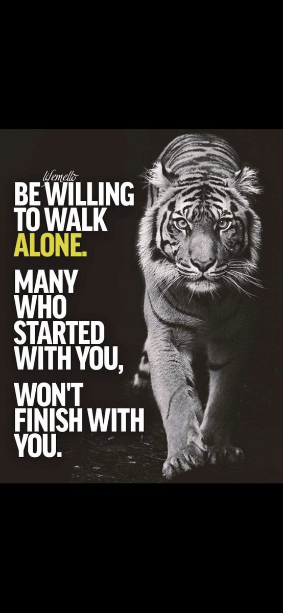 TJ Cox5️⃣🌟 tweet media