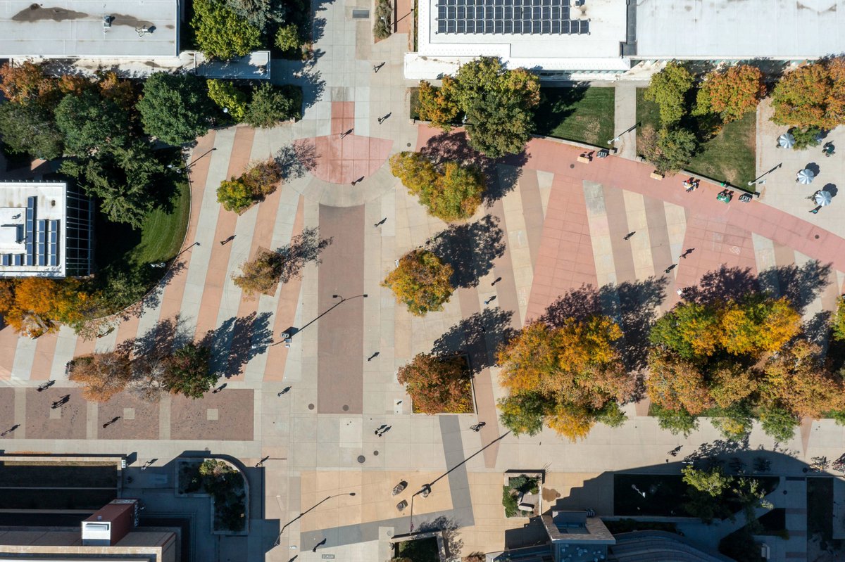 6️⃣: The oldest tree on campus is more than 135 years old and located near the former location of Old Main 🌲
 
Celebrate #ArborDay by reading 45 other facts about trees at #ColoradoState 🌳 col.st/I8Ytv