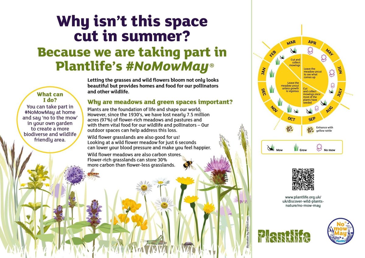 ConservationNFS's tweet photo. Tomorrow is the 1st May and the start of #NoMowMay! Put your feet up for a month and leave the lawn to the insects! Happy bank holiday weekend. 🐝 🦋 😊 https://t.co/HkpWooUP9R