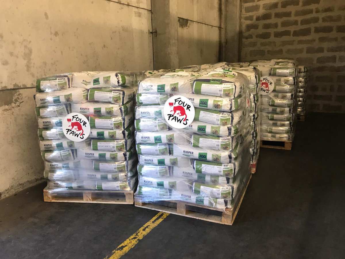 FOURPAWSUSA's tweet photo. #FoodForAnimals in #Ukraine 🇺🇦 The food is on its way! Soon the animals in #KyivZoo and many other zoos in Ukraine will receive 20 tons of food as a result of FOUR PAWS and the transport cooperation with the wonderful Austrian Federal Railways @unsereOEBB. https://t.co/R1Y77AVTch