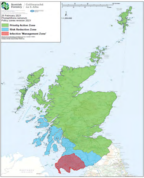 PlantHealthScot's tweet photo. #Larch in your Scottish #woodland or #forest? The @scotforestry Phytophthora ramorum management plan was updated to achieve longer term disease control. https://t.co/cEptSNAv4n #planthealth #treehealth #Pramorum https://t.co/PeYXWQShJA