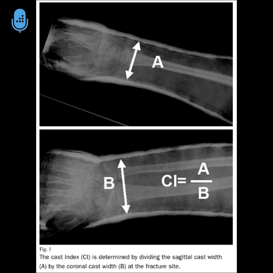 Orthobullets tweet media