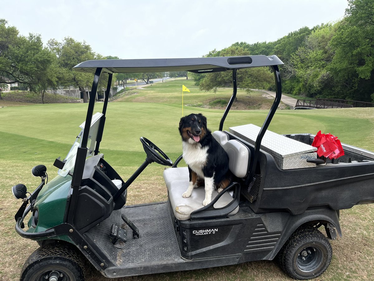 FCGC_Turf tweet picture