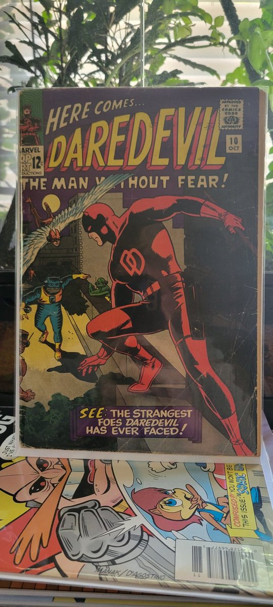 ComicRec's tweet photo. 6 dollar pick up. Pretty beat up. But its still a Daredevil #10. #comicrec #Marvel #Daredevil https://t.co/5hbzJ2J6ri