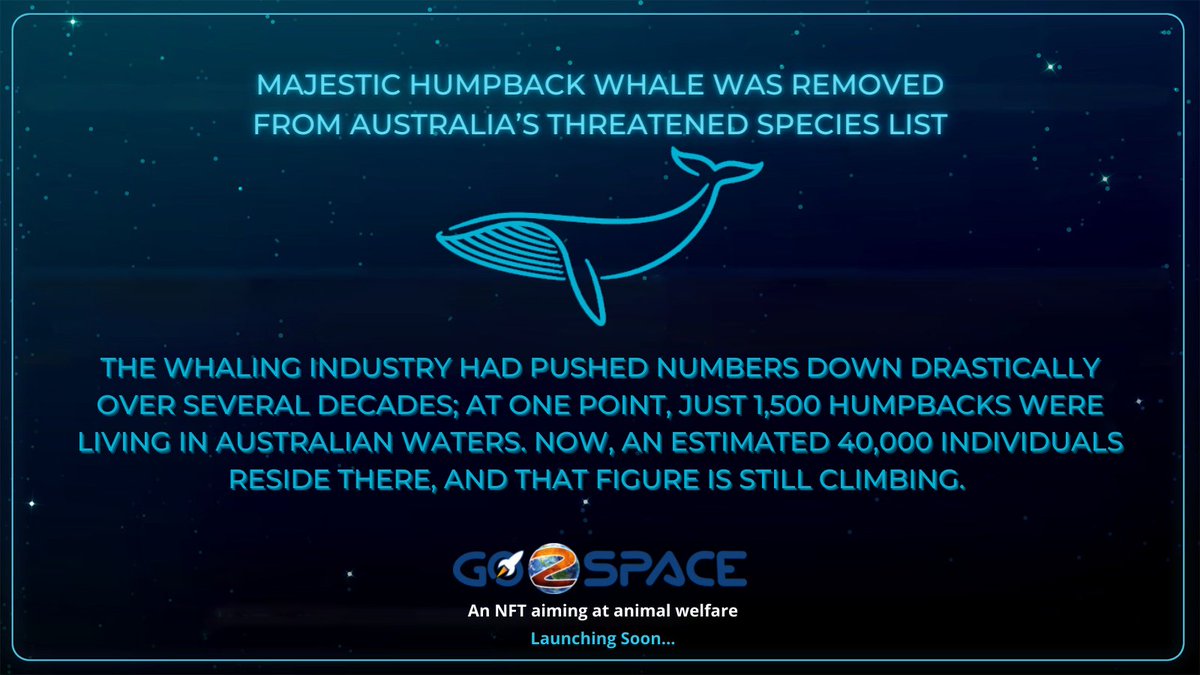 go2spacenft's tweet photo. Majestic humpback whale was removed from Australia’s threatened species list
#Humpback #Whale #GoodNews #nftforanimals #animalrights #bringbackanimals https://t.co/HNsUsu3YJ3