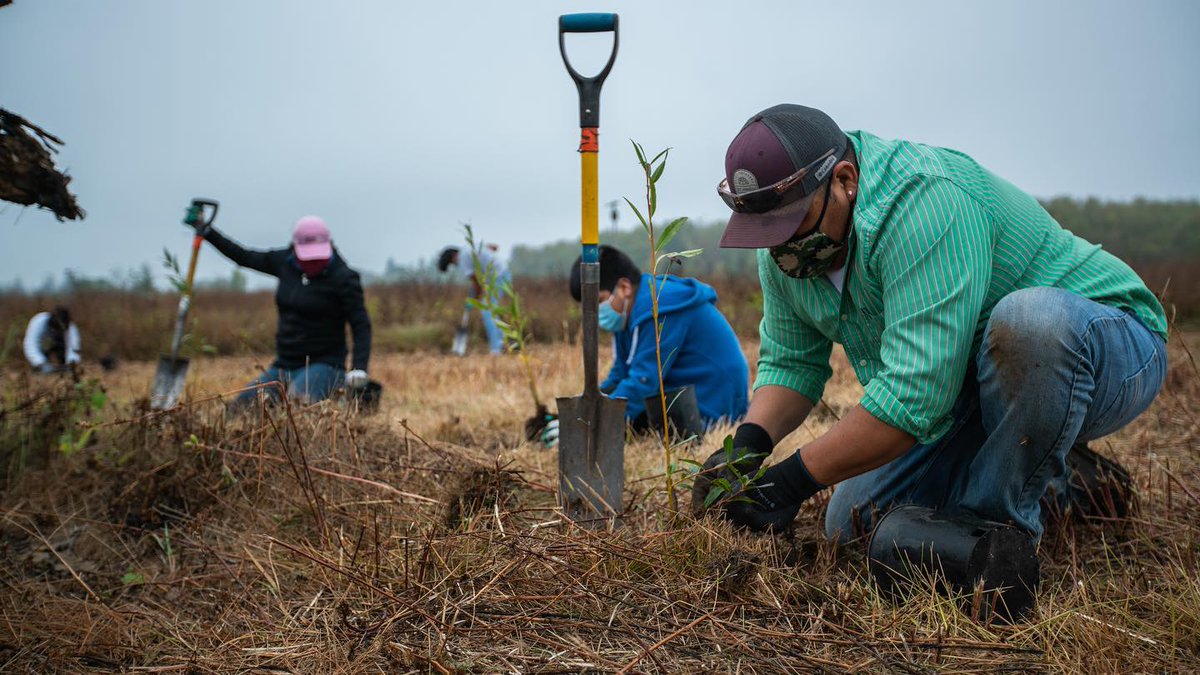 CleanWaterNews's tweet photo. 15 million+ reasons for hope on this #ArborDay — that's the number of trees & shrubs that have been planted in our region thanks to the 40+ partners of #TreeForAll. #ClimateResilience #TualatinRiverWatershed https://t.co/b3UzxFE4HQ https://t.co/NGWULI5sVp